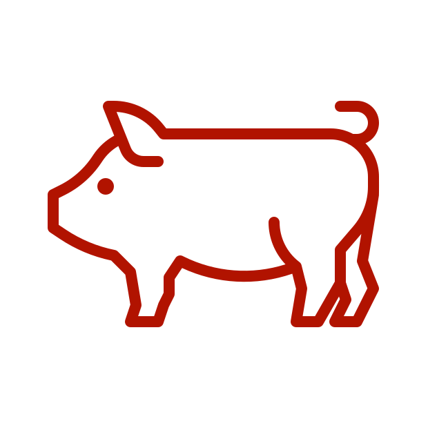 Pork